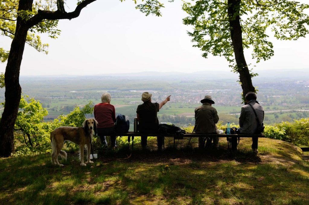Nature-decouvertes-Bristol-1