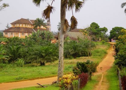Centre Adèle Akono - img